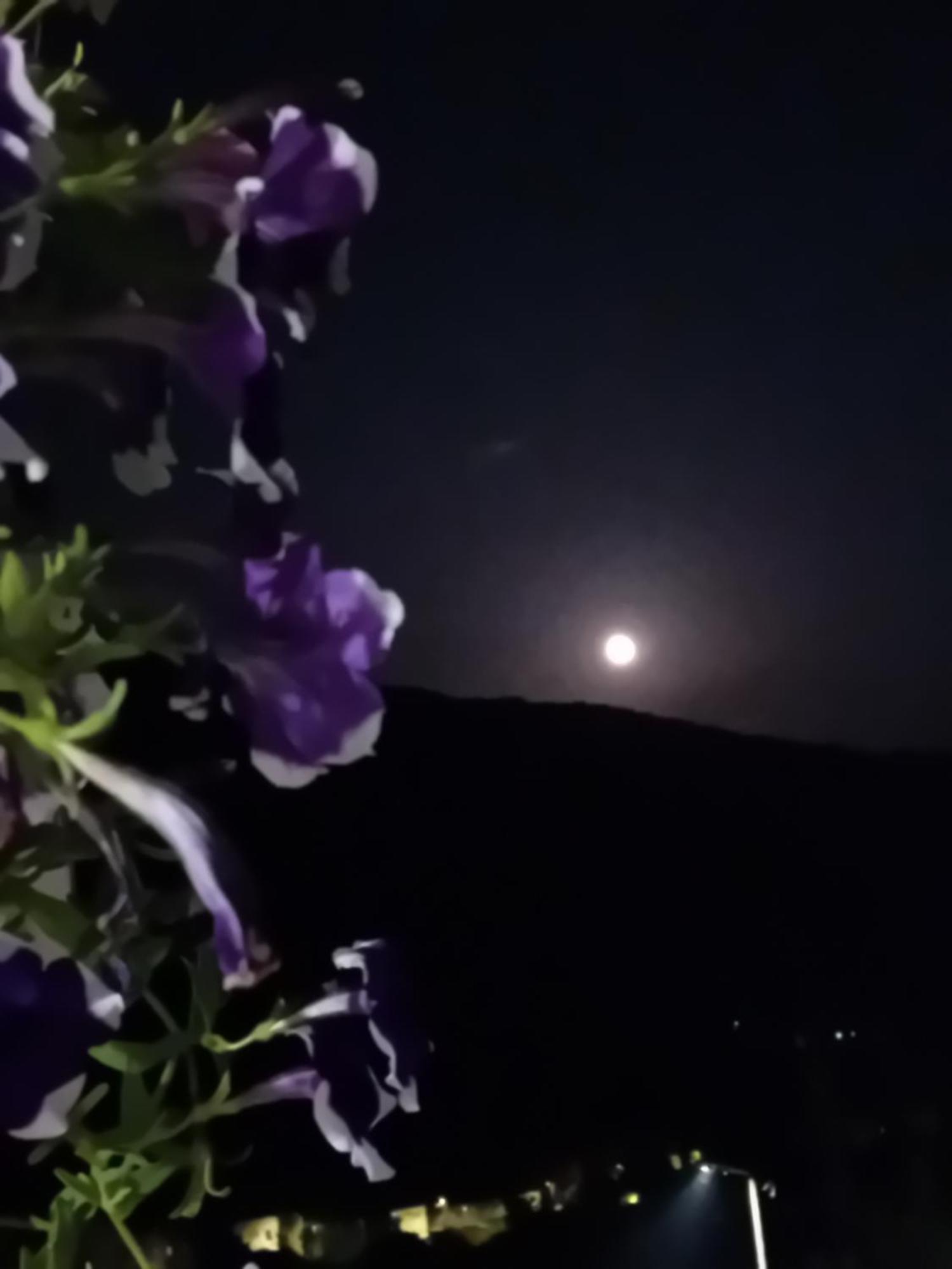 Appartamento Mala Kuca Foca Esterno foto